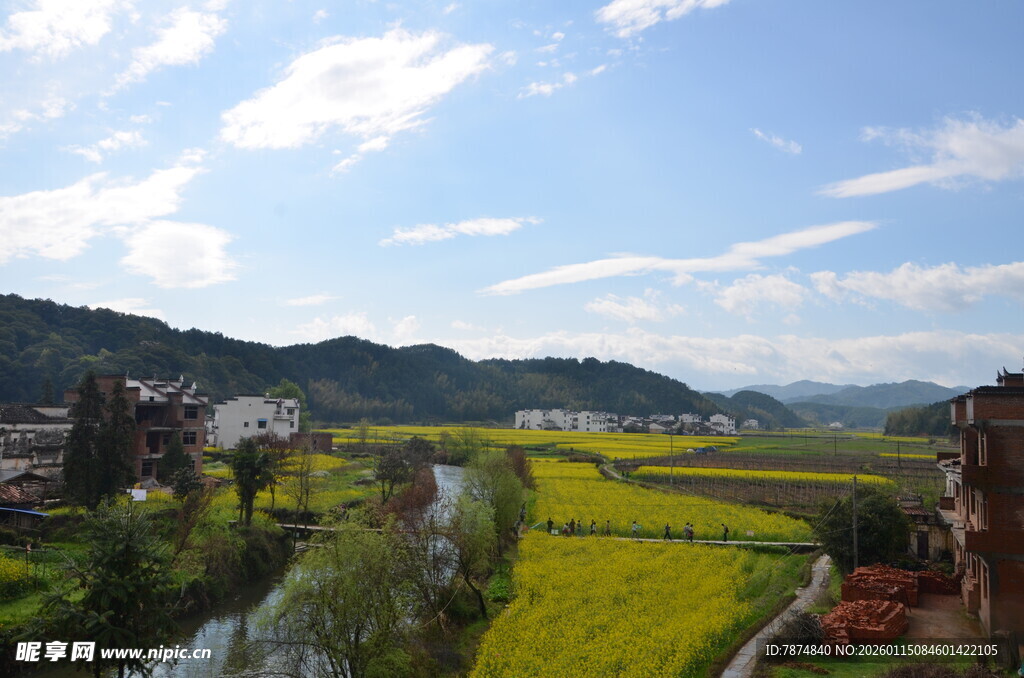 春日田园风光美景