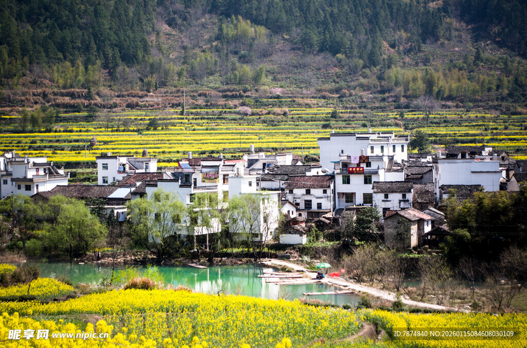 春日乡村美景如画