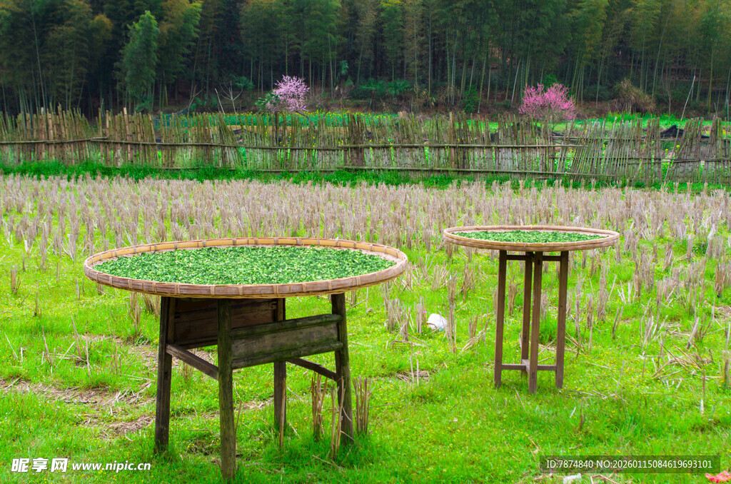 田园中的木制桌椅与绿植