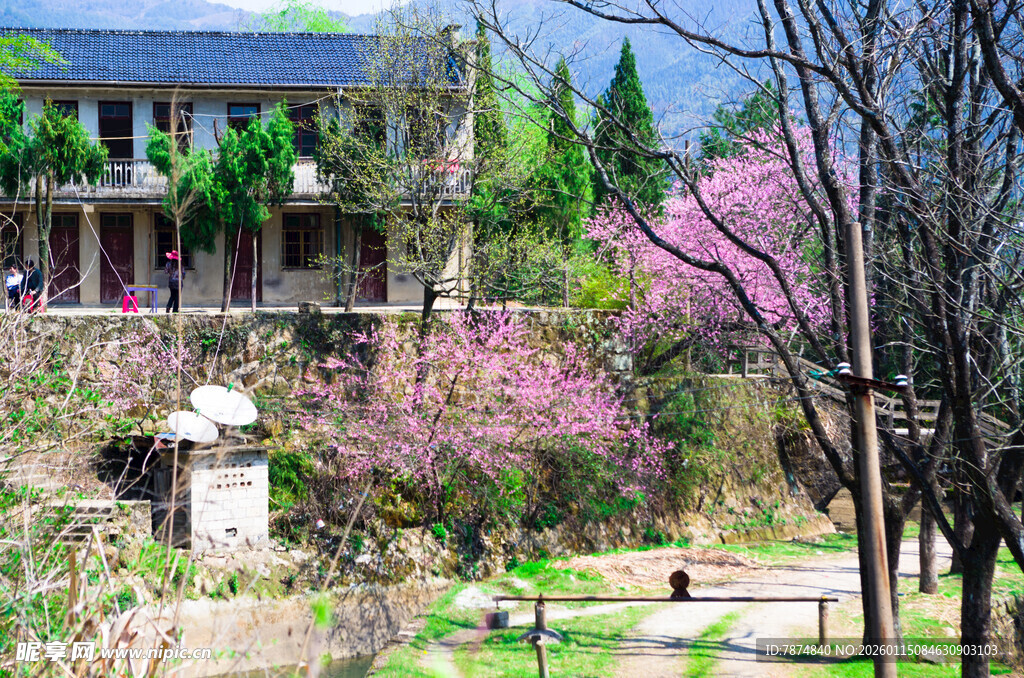 春日烂漫庭院景致