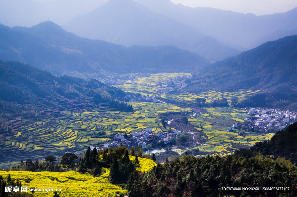 山间油菜花田中的美丽村落