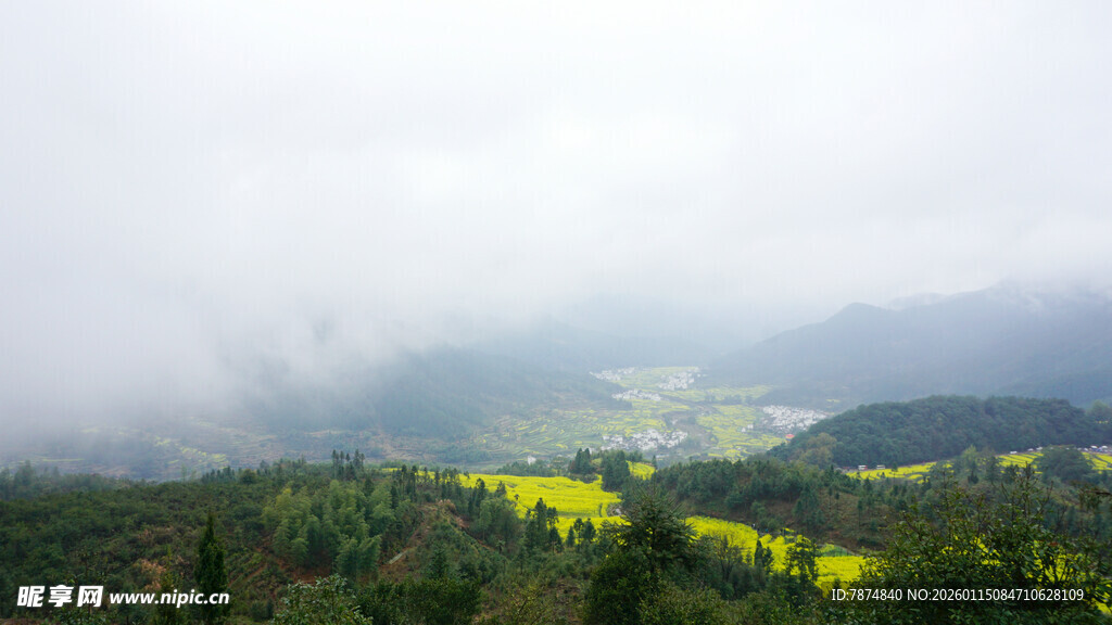 云雾缭绕中的山间黄绿景致