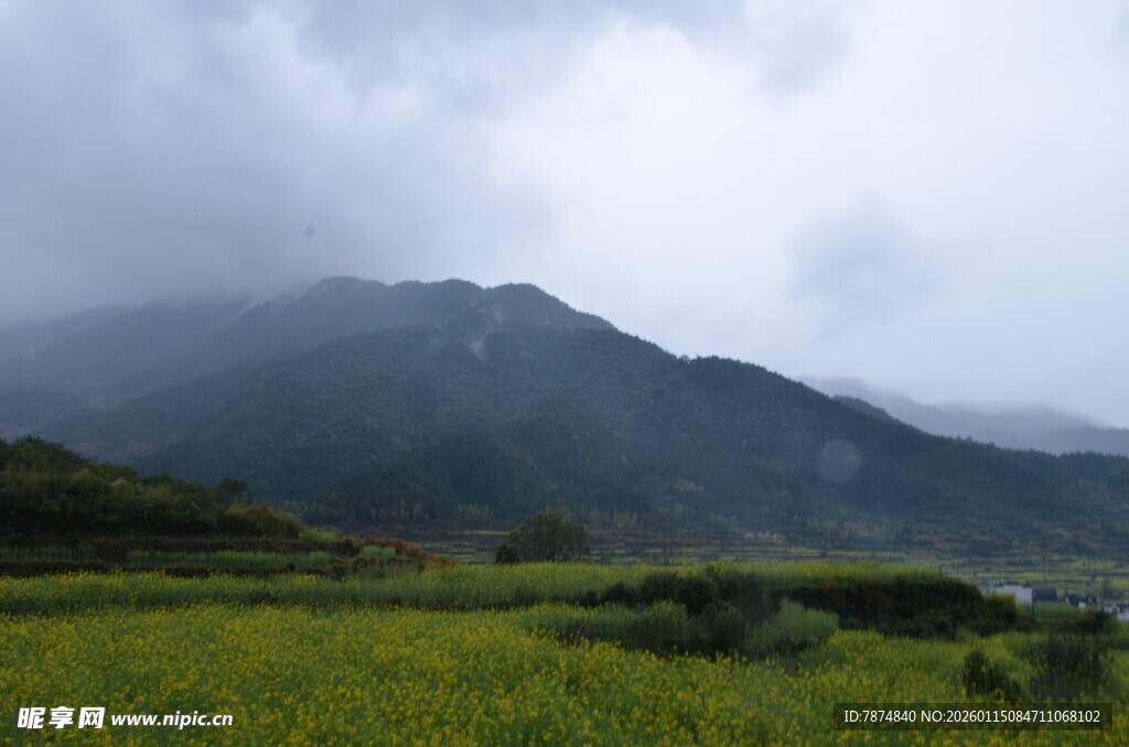 山间绿野 云雾缭绕美景