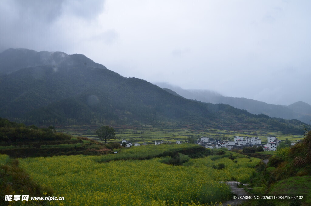 山间绿野村庄美景