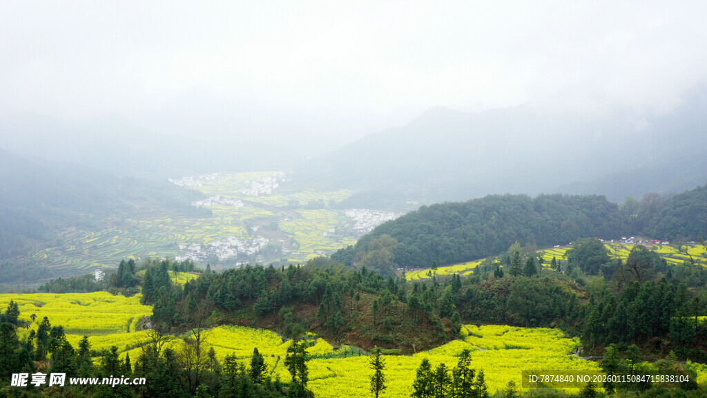 山间油菜田 云雾缭绕景