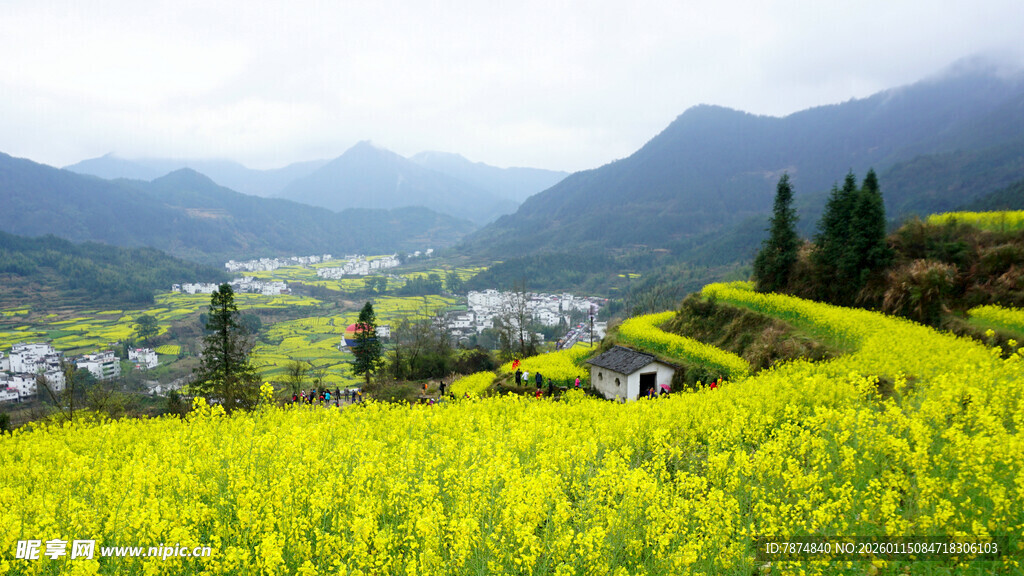 春日油菜花海中的山村美景