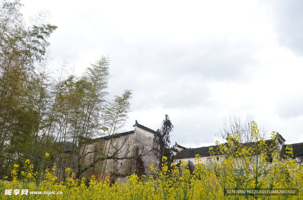 乡村田野中的古朴小屋