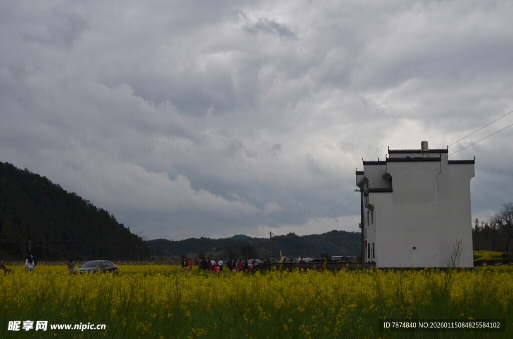 田野中的白色建筑