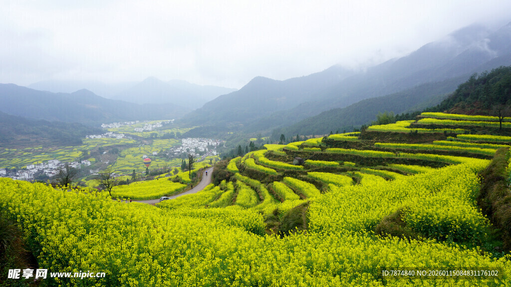 山间梯田油菜花美景