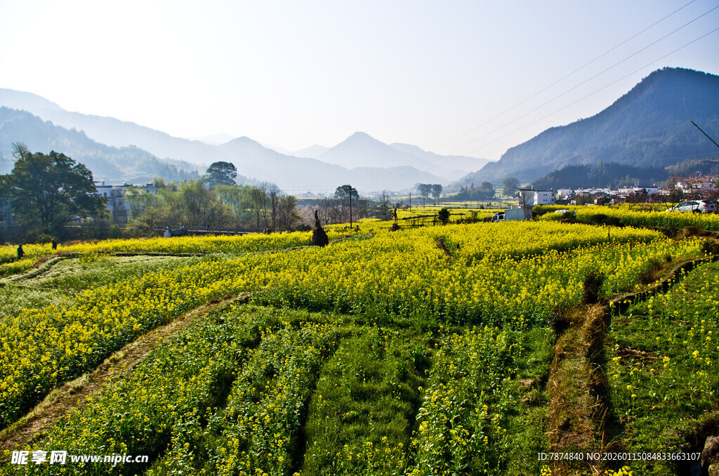 山间田园风光 绿意盎然