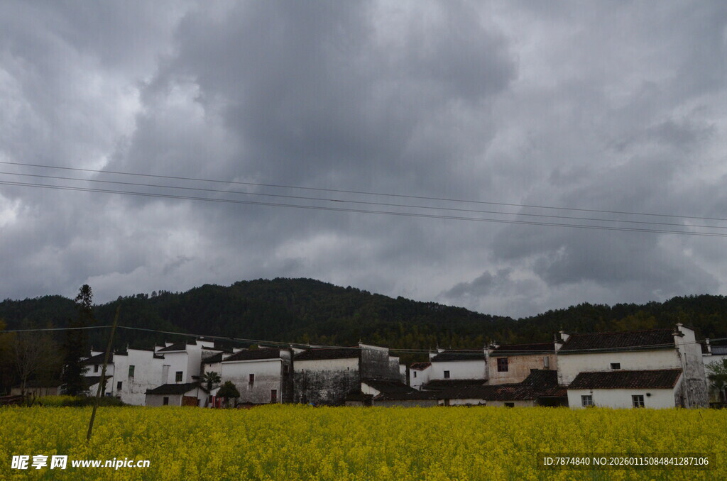 田园村落 乌云下的金黄稻田