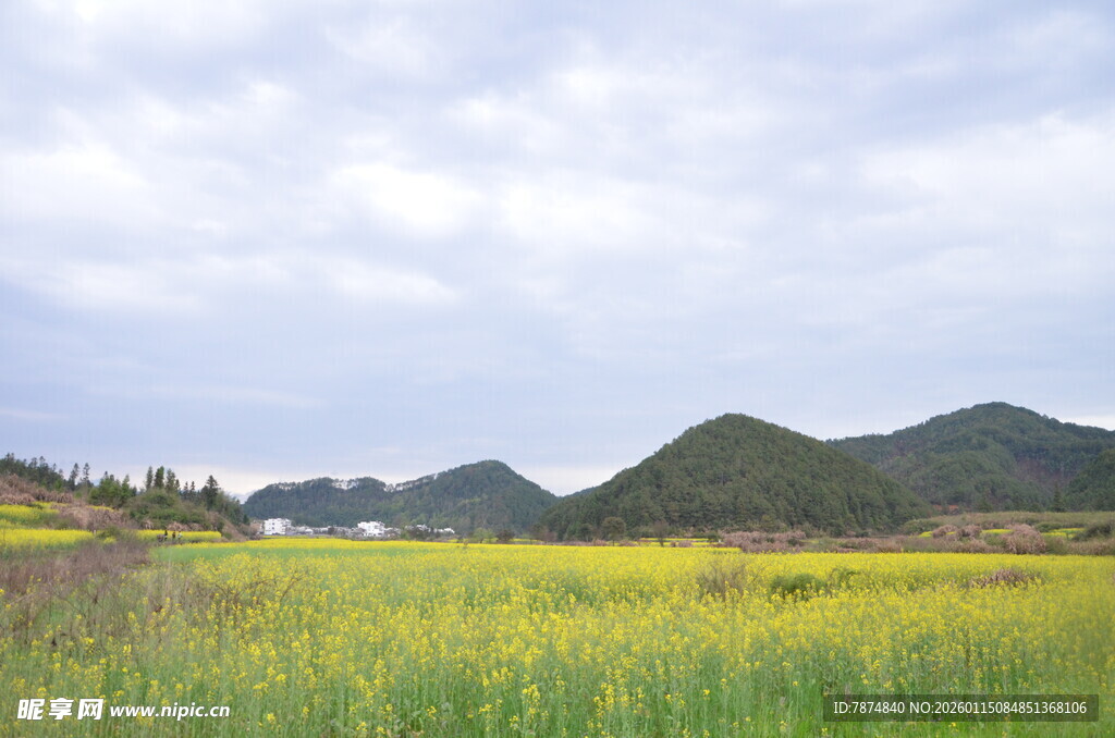 田园油菜花与远山美景