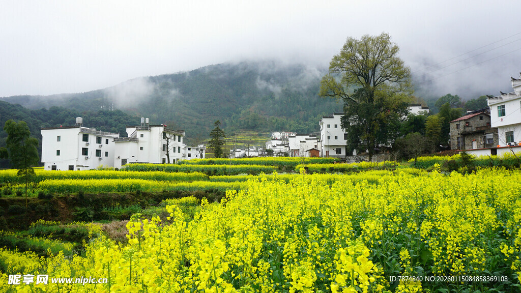 春日油菜田旁的美丽村落