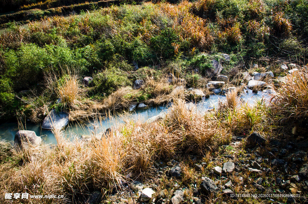 山间溪流 自然野趣之景