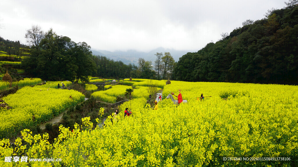 山间油菜花海中的游人