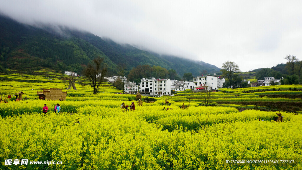 春日油菜田中的美丽村落