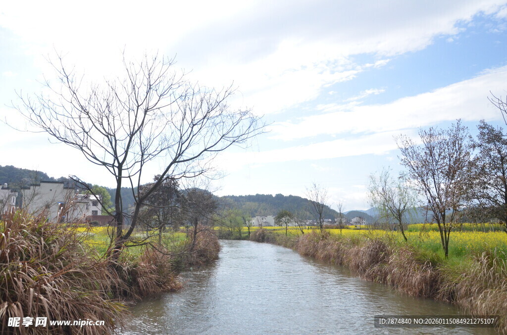 乡村小河畔的春日风光