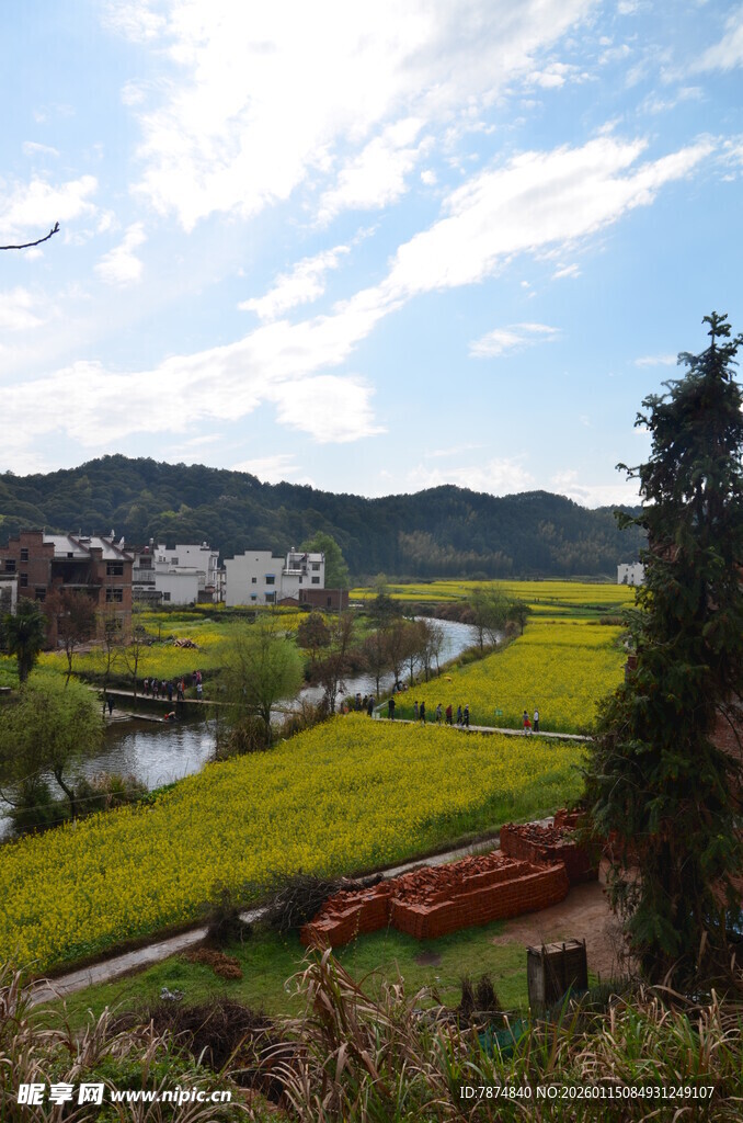 田园风光美景如画