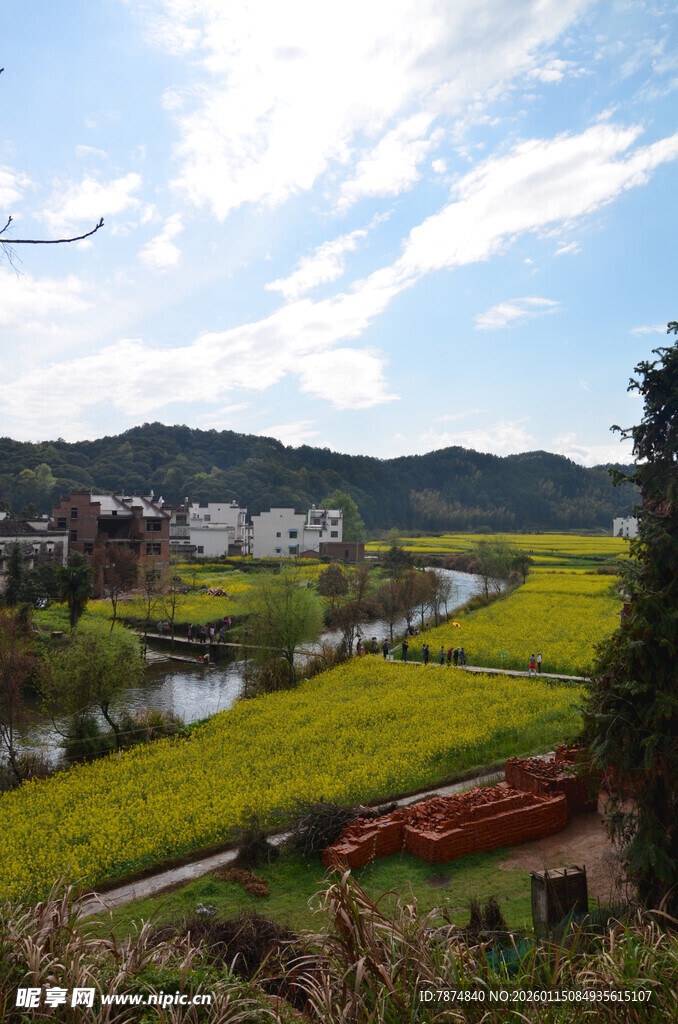 春日乡村田园美丽风光