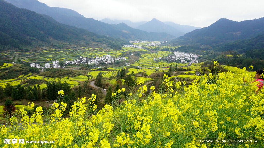 山间油菜花海中的村落
