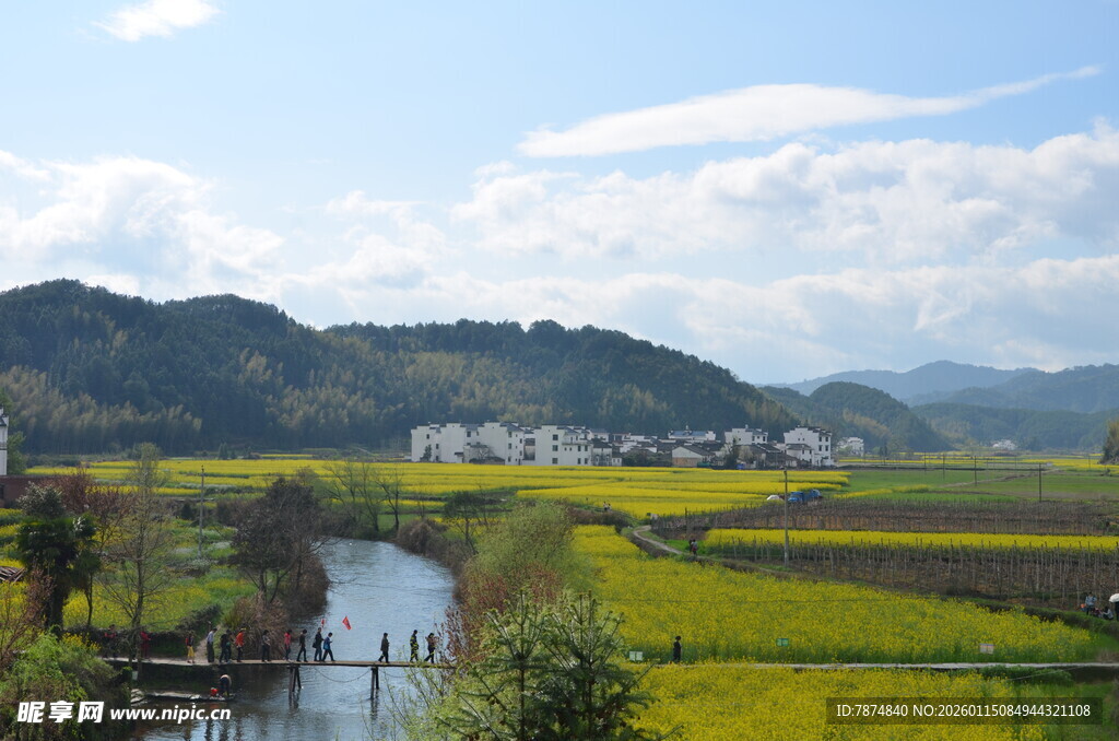 春日乡村田园风光美景