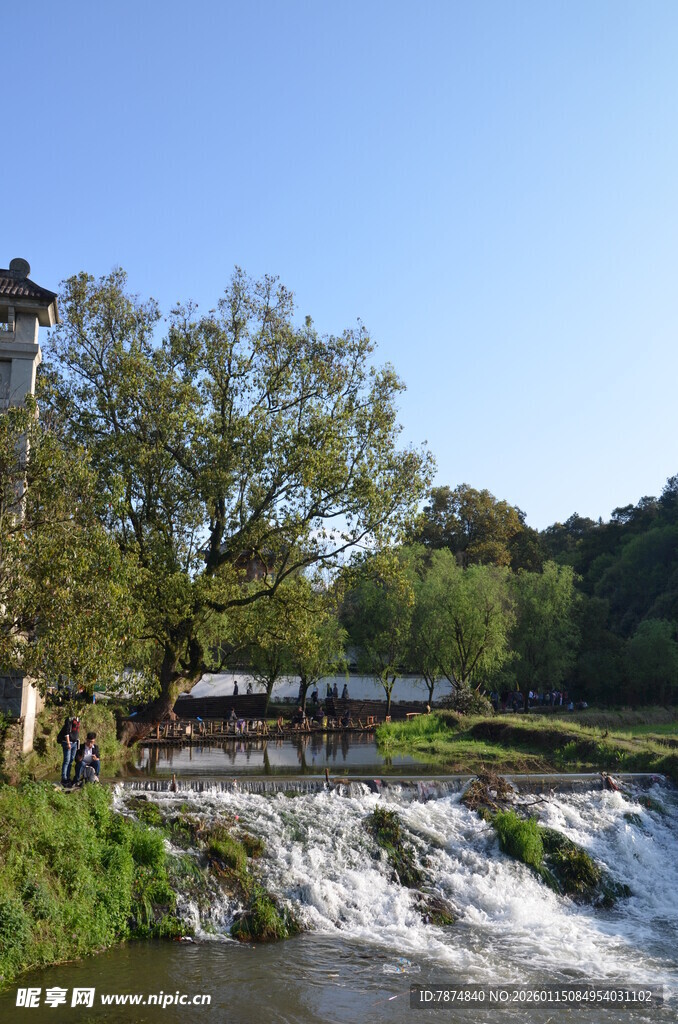 河畔流水绿树风景如画