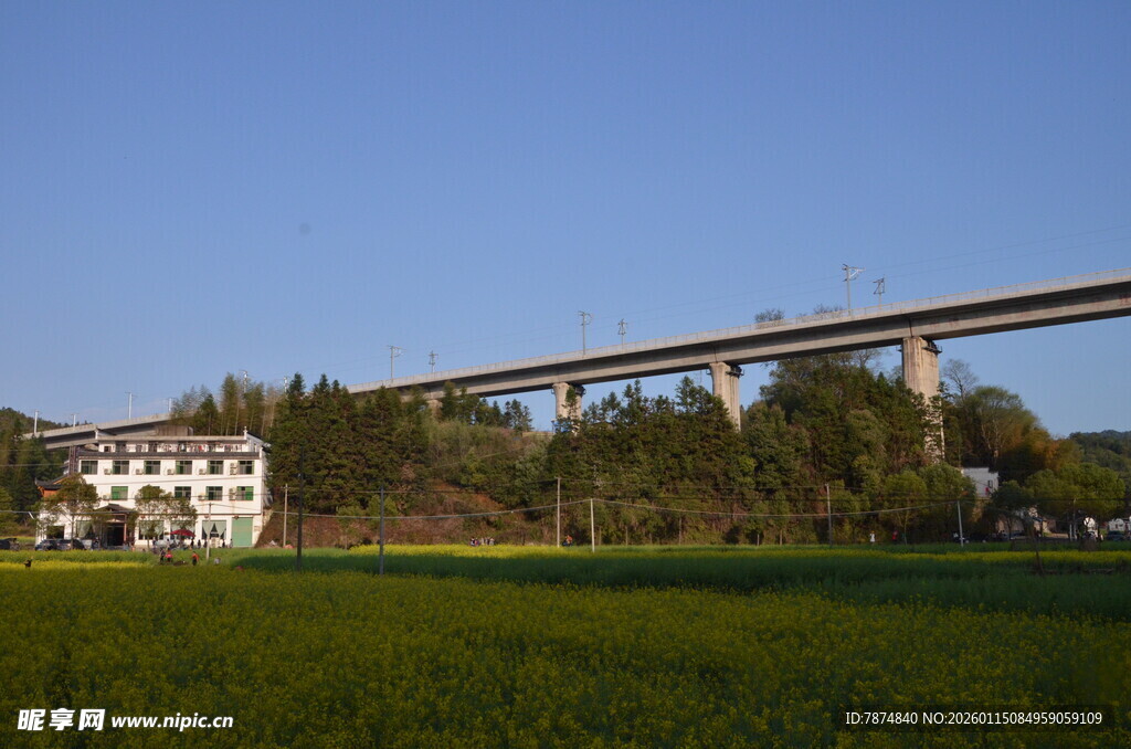 田野上的高架桥与房屋