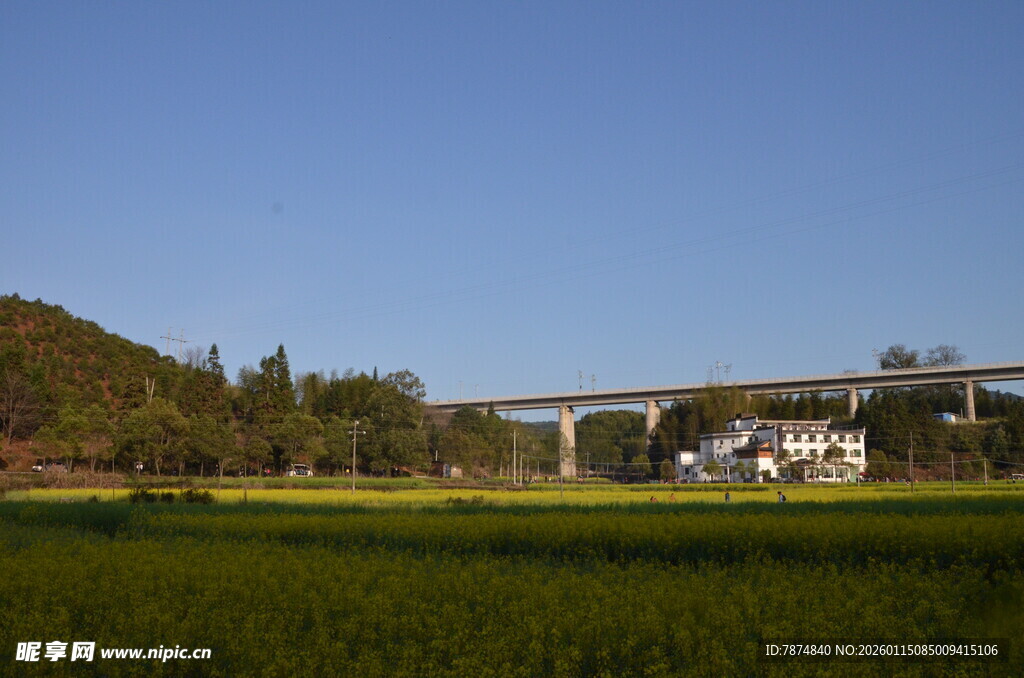 田野上的高架桥