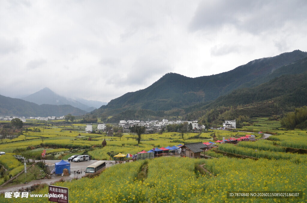 山间绿野中的村庄美景