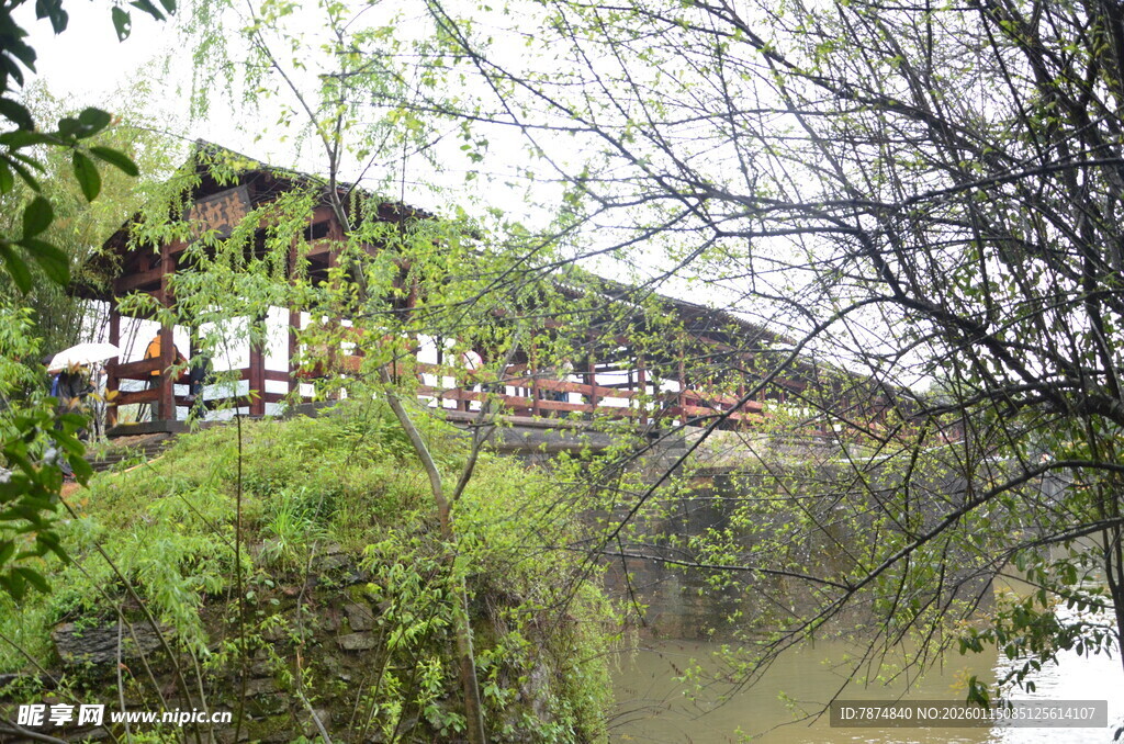 河畔古桥隐于葱郁草木间