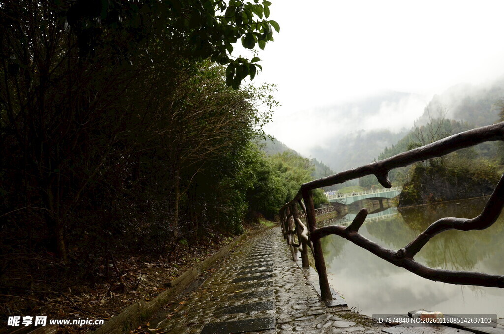 雨中骑行道 近景绿意与河流