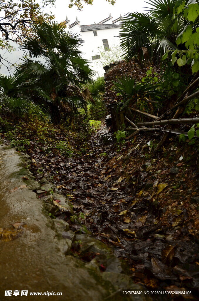 雨后湿润的碎石小径