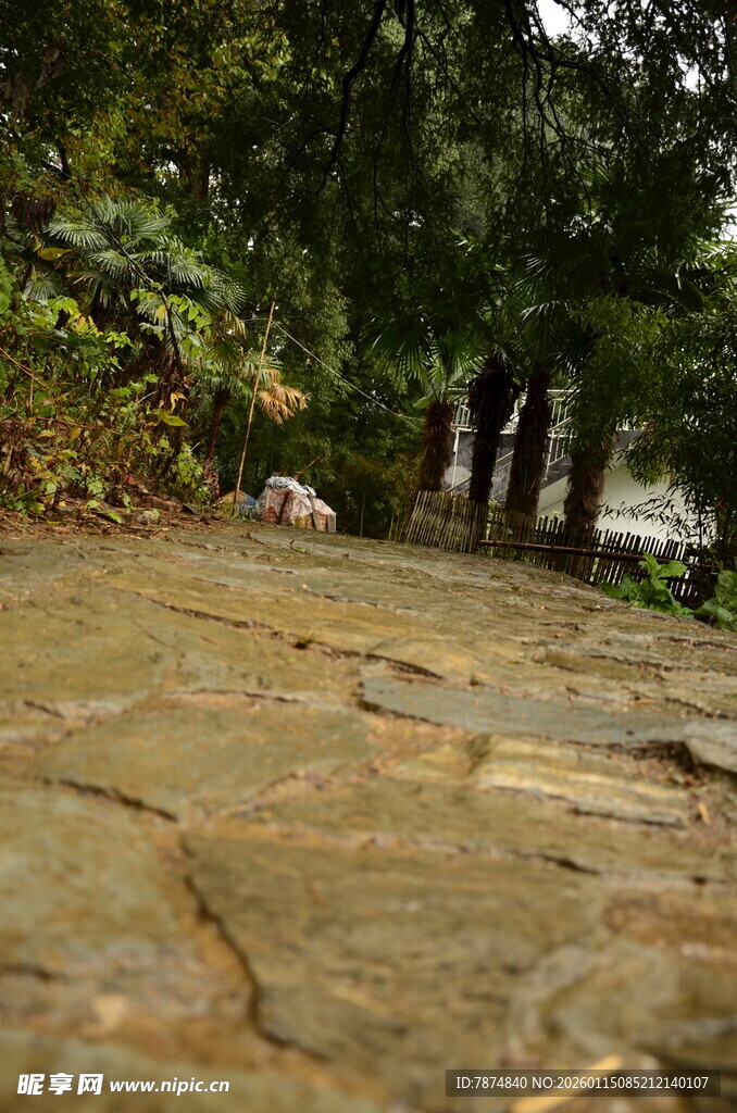 林间石板小径上的行人