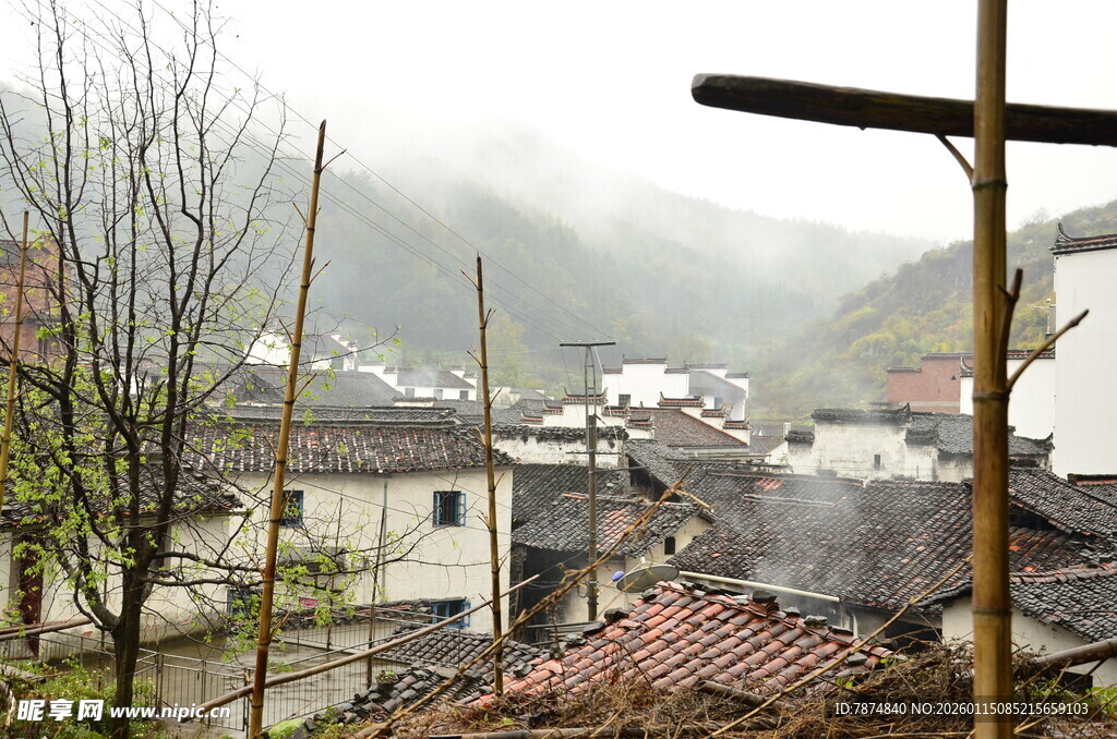 雾中乡村景象
