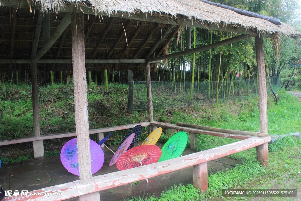 户外草棚下的多彩皮划艇
