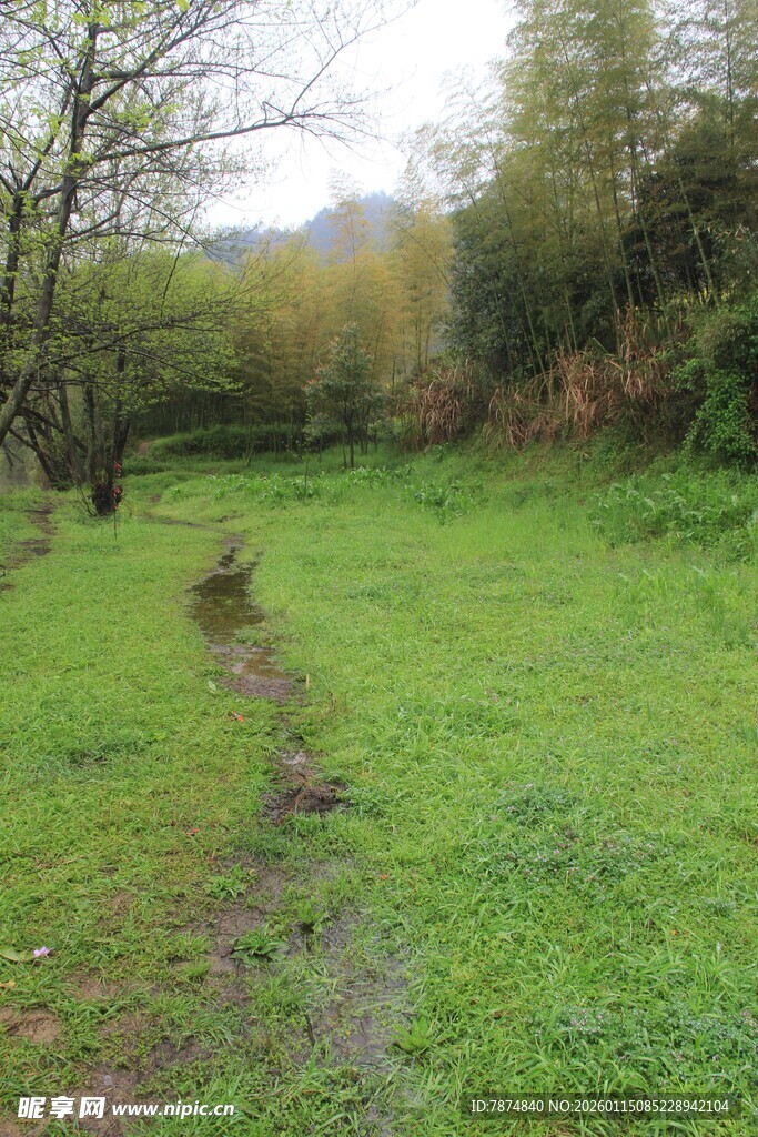 春日草地中的蜿蜒小径