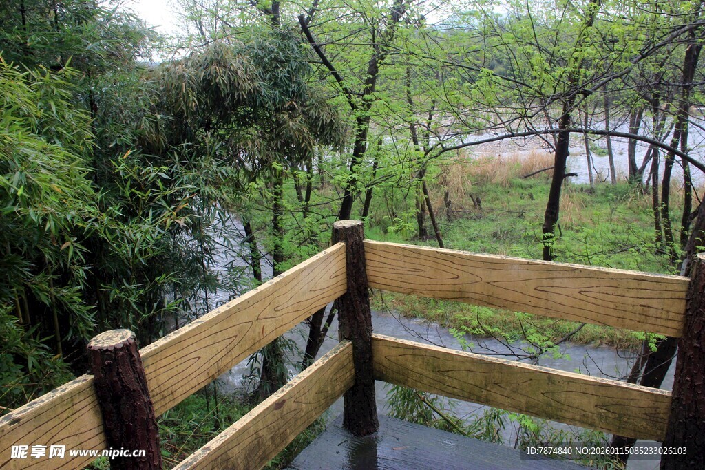 林间木质观景栈道景致