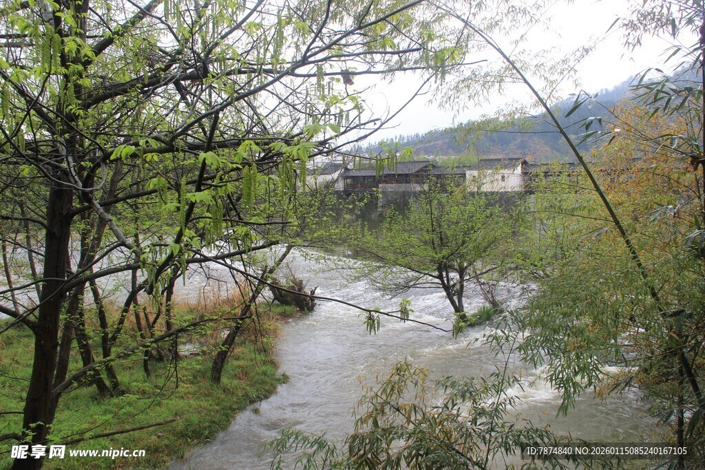 山间溪流旁的自然景致
