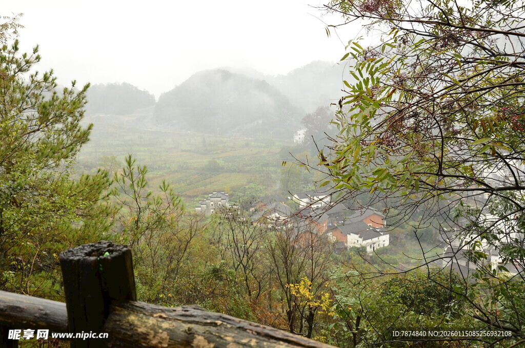 山间村落隐于绿树薄雾中
