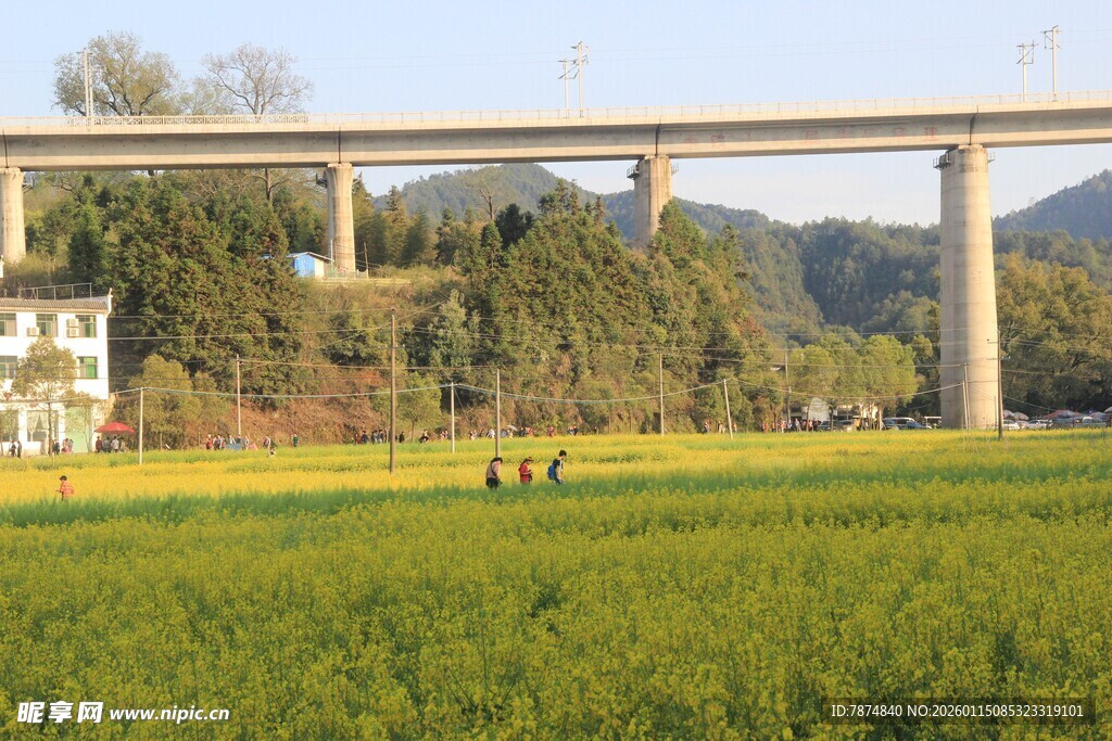 田野上的高架桥