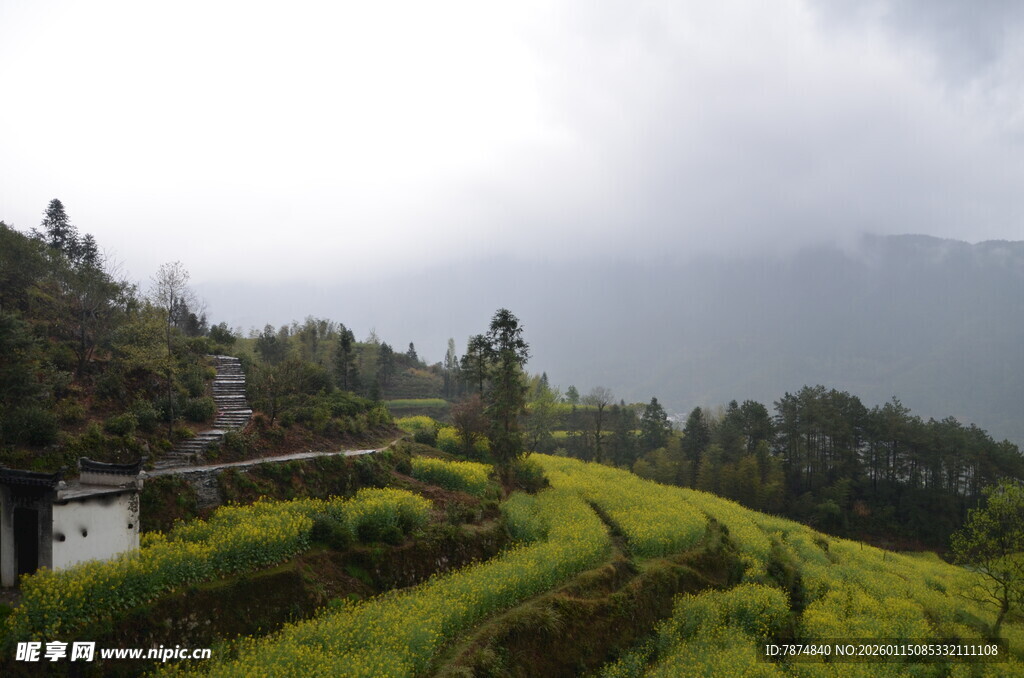 山间梯田美景 云雾缭绕