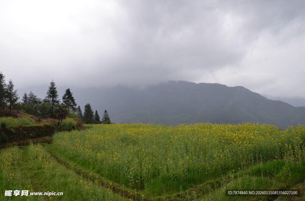 云雾下的田野与远山