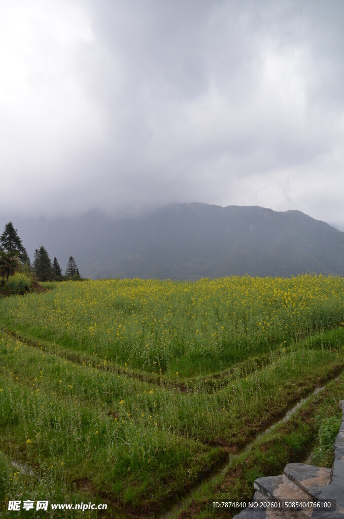 山间绿野 云雾缭绕之景