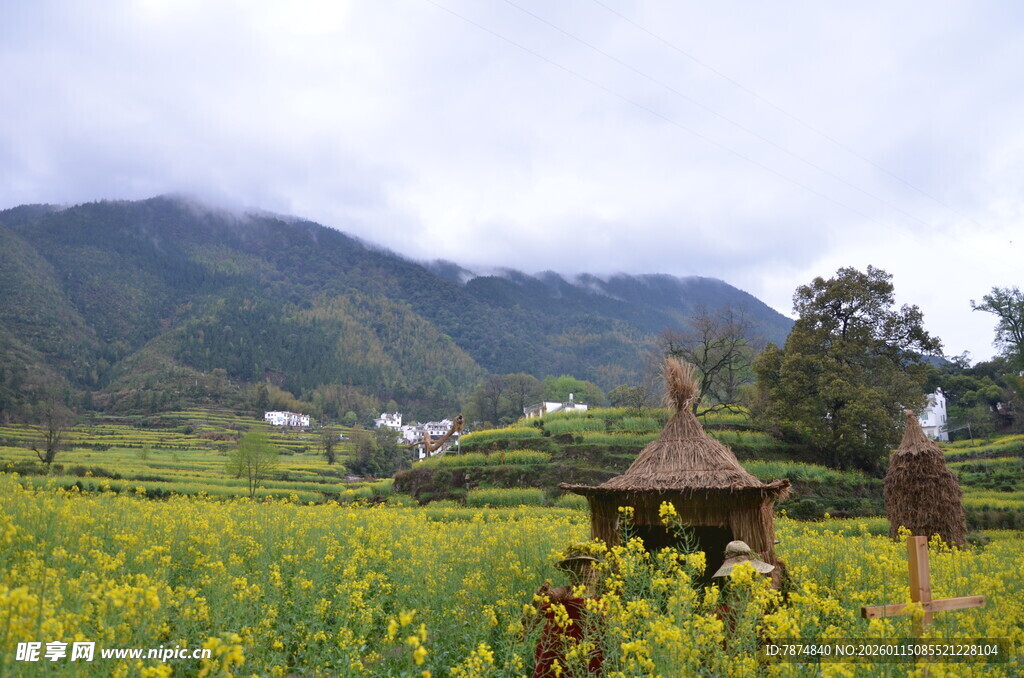 山间油菜花海中的小亭
