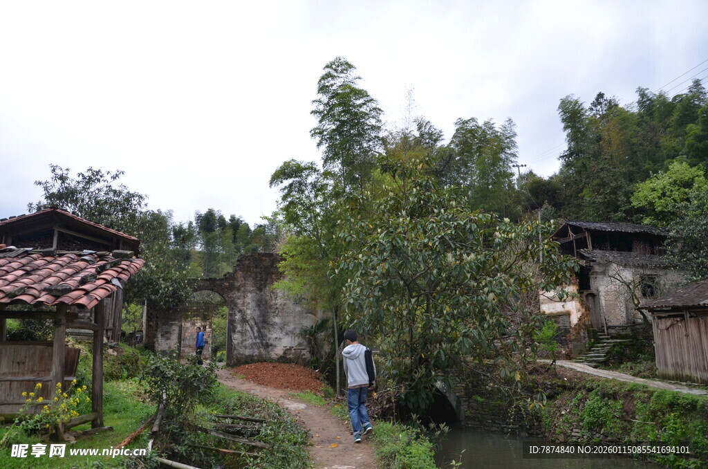 乡村小道上的宁静漫步