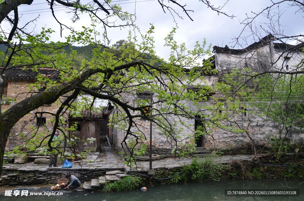 江南水乡古村春日景致