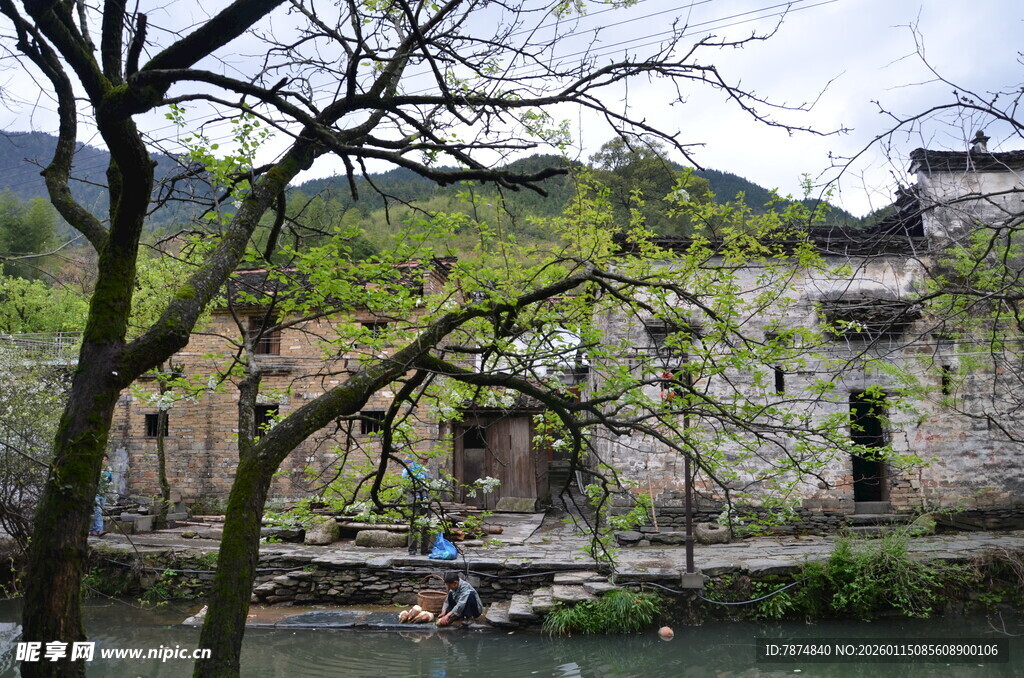 江南水乡古村春日景致