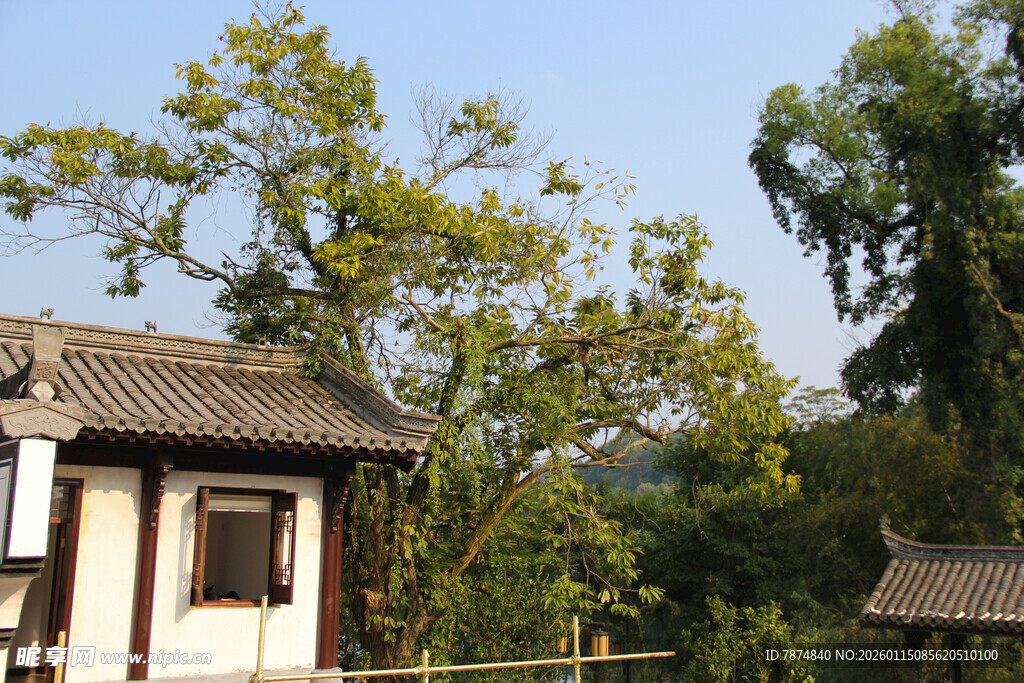 中式小屋隐于绿树间