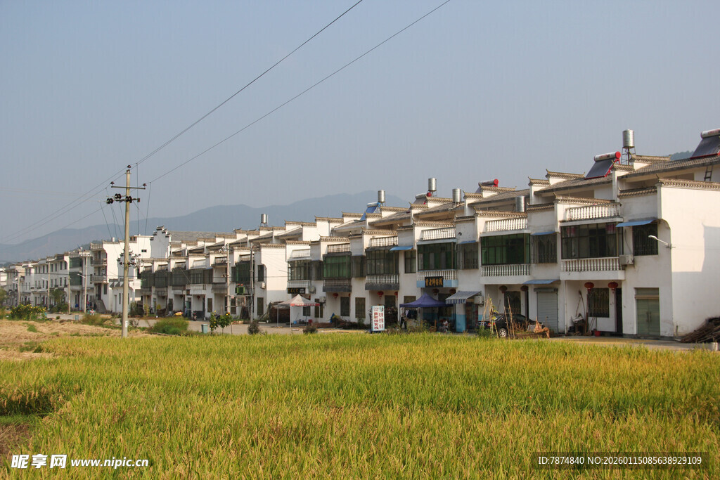 乡村田野旁的整齐民居