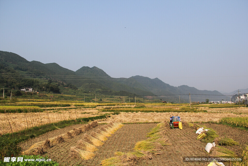 田野劳作景象